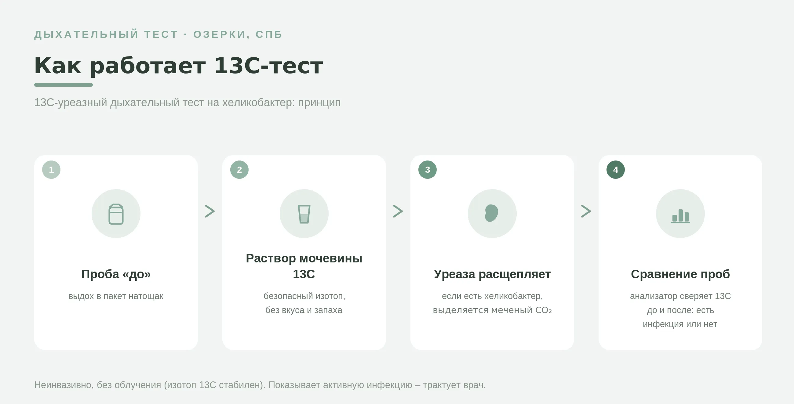 Как работает 13C-уреазный дыхательный тест: пациент выпивает раствор мочевины с меткой 13C, фермент хеликобактера расщепляет её, меченый углекислый газ выходит с выдохом, анализатор сравнивает пробы до и после.
