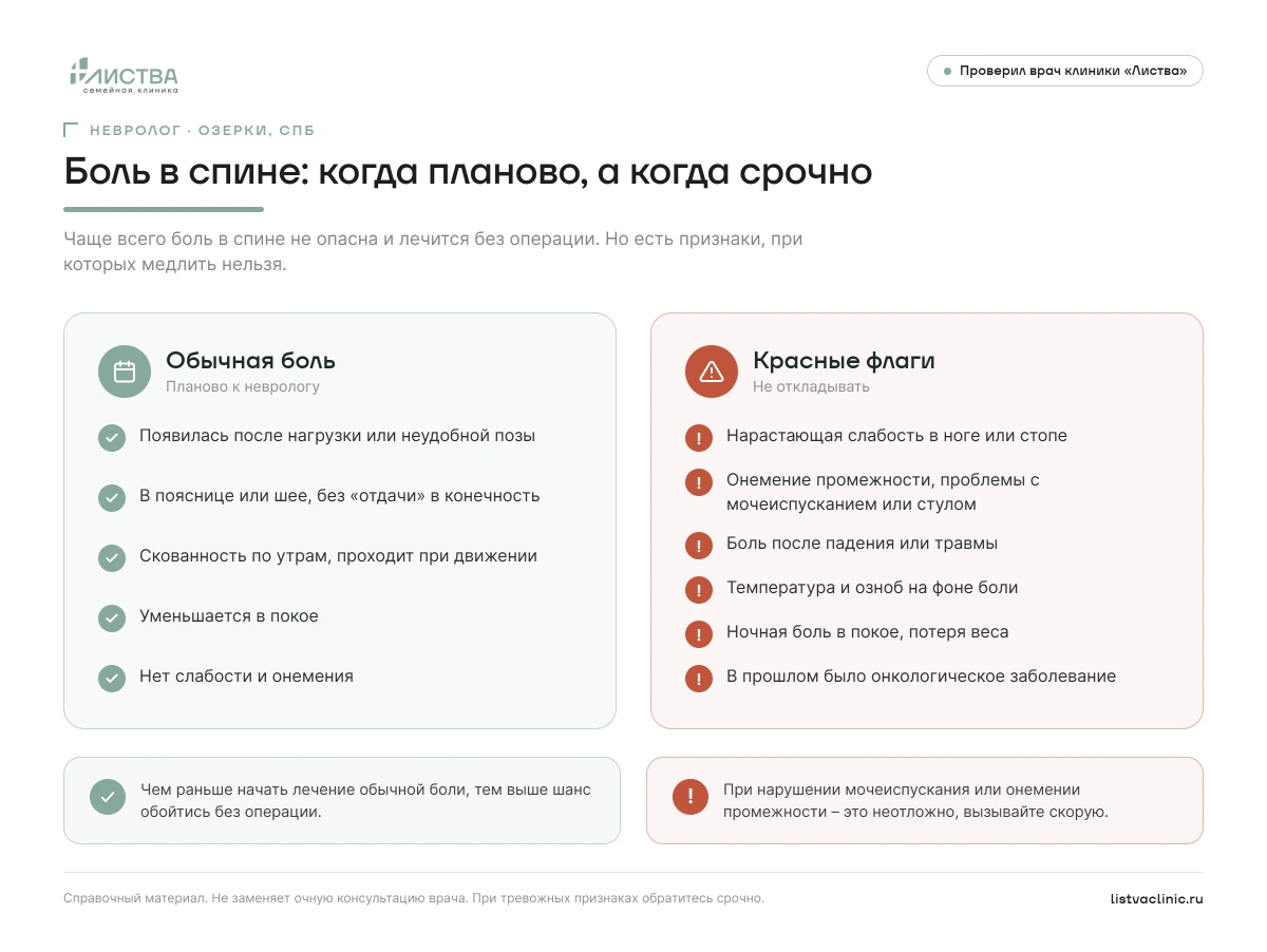 Боль в спине: обычные признаки для планового приёма невролога и красные флаги (слабость в ноге, онемение промежности, нарушение мочеиспускания, боль после травмы, ночная боль, онкология в анамнезе), при которых нужна срочная помощь. Клиника «Листва», Озерки