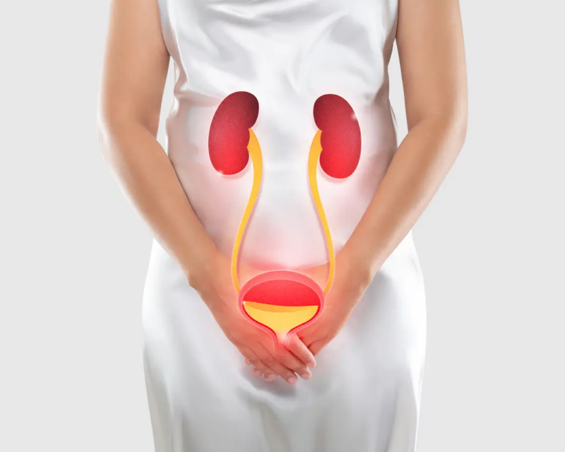 Цистит: разбираемся в симптомах и причинах. В каких случаях необходимо обратиться к урологу?