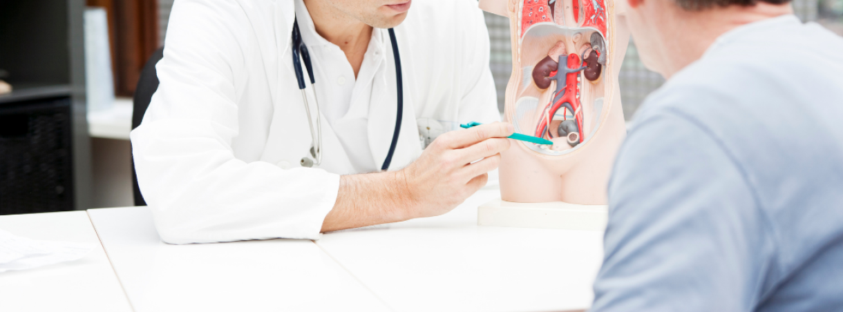 Уролог: когда обращаться мужчинам и женщинам