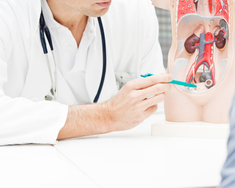 Уролог: когда обращаться мужчинам и женщинам