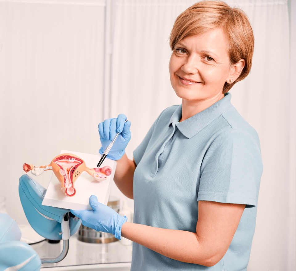 Консультация гинеколога и экспертное УЗИ малого таза