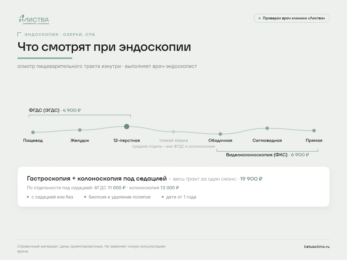 Что смотрят при эндоскопии: отделы пищеварительного тракта, ФГДС и колоноскопия с ценами. Клиника &laquo;Листва&raquo;, Озерки, СПб